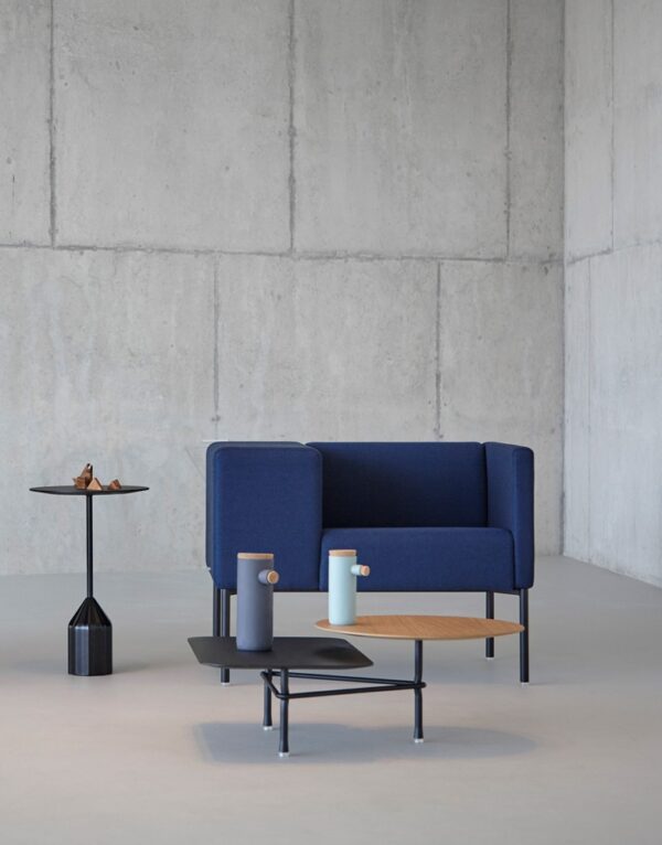 Mesa Burin Mini-201932
