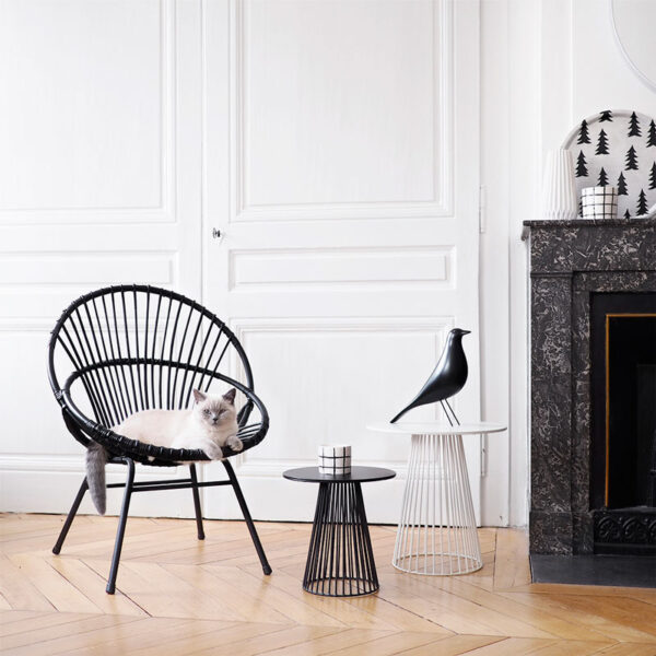 Eames House Bird-179751