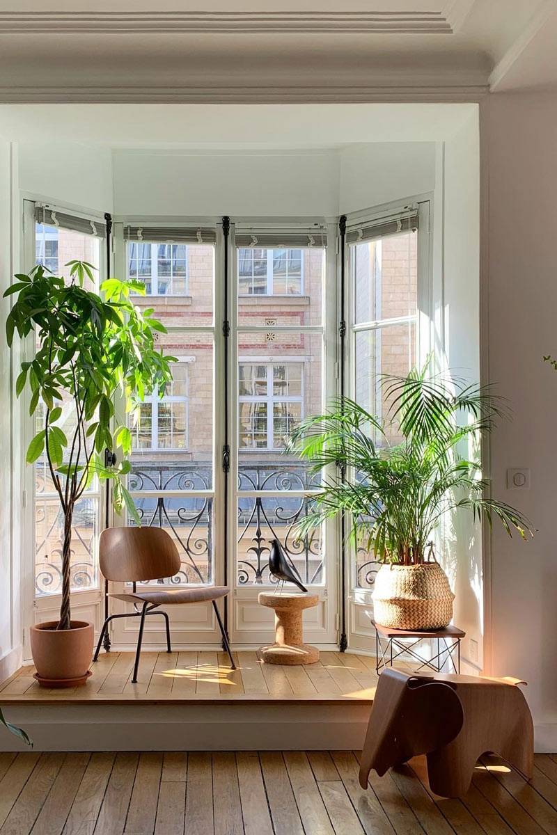 Eames House Bird-372160