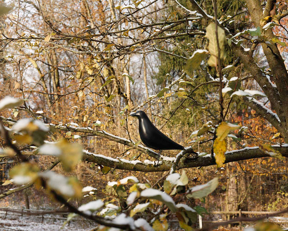 Eames House Bird-113492