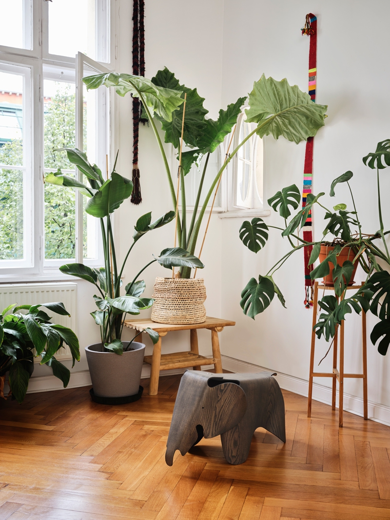 Eames Elephant-289749