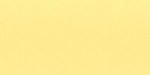 92 Citron RE 560,00 €