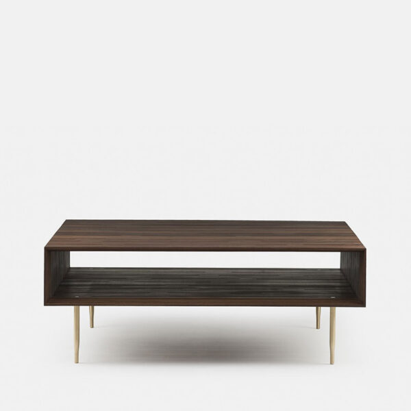 Mesa 381L Horizon-180507