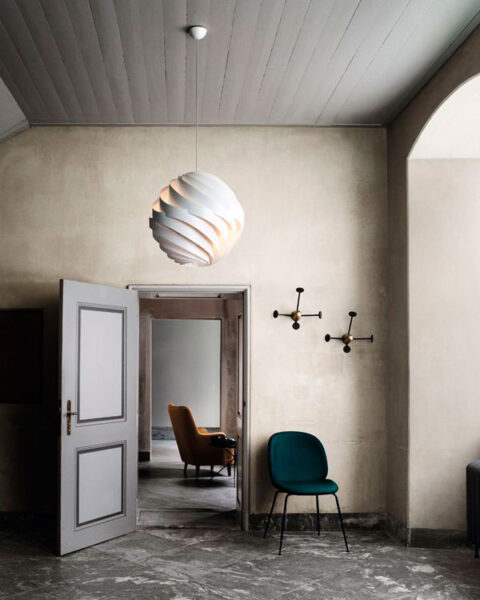 Silla Beetle-78547