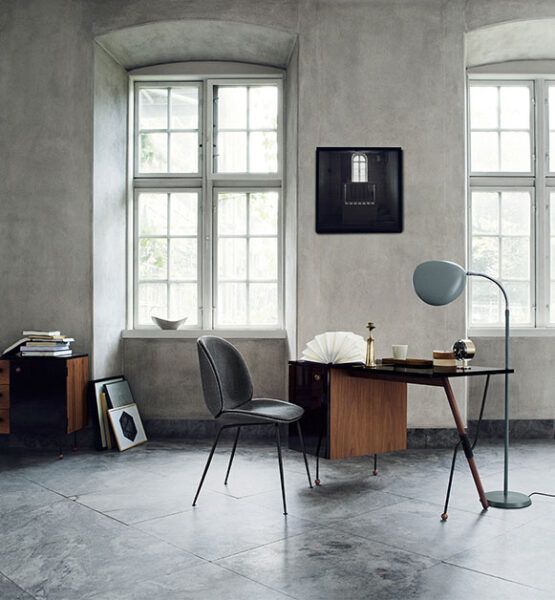 Silla Beetle-78551