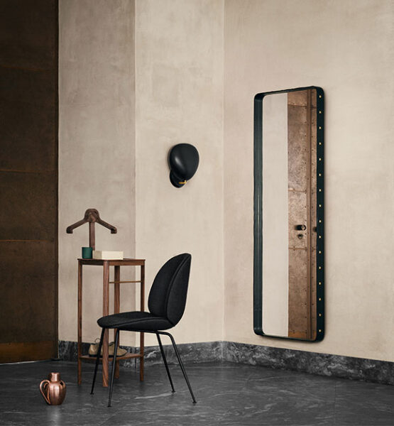 Silla Beetle-78554