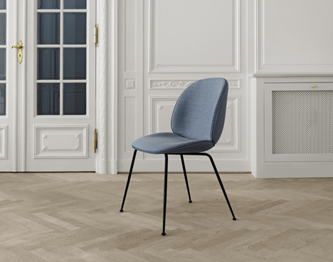 Silla Beetle-78557