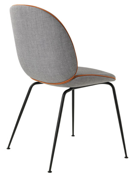 Silla Beetle-78541