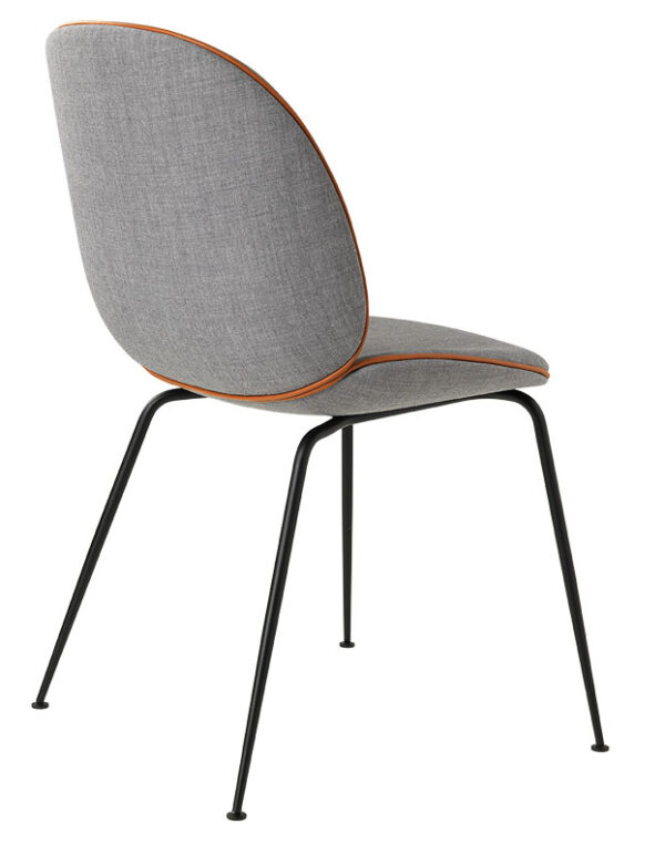 Silla Beetle-78541