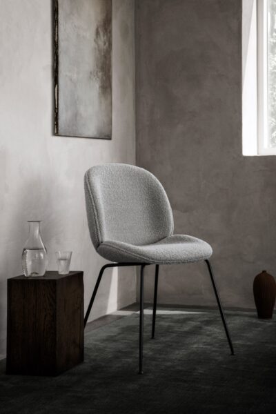Silla Beetle-333859