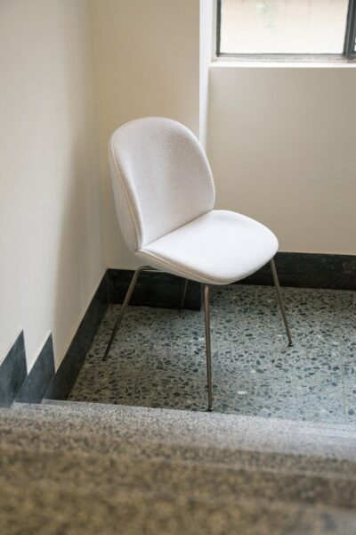 Silla Beetle-333857