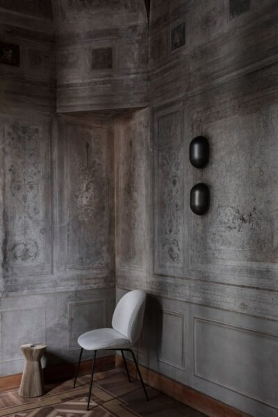 Silla Beetle-333850