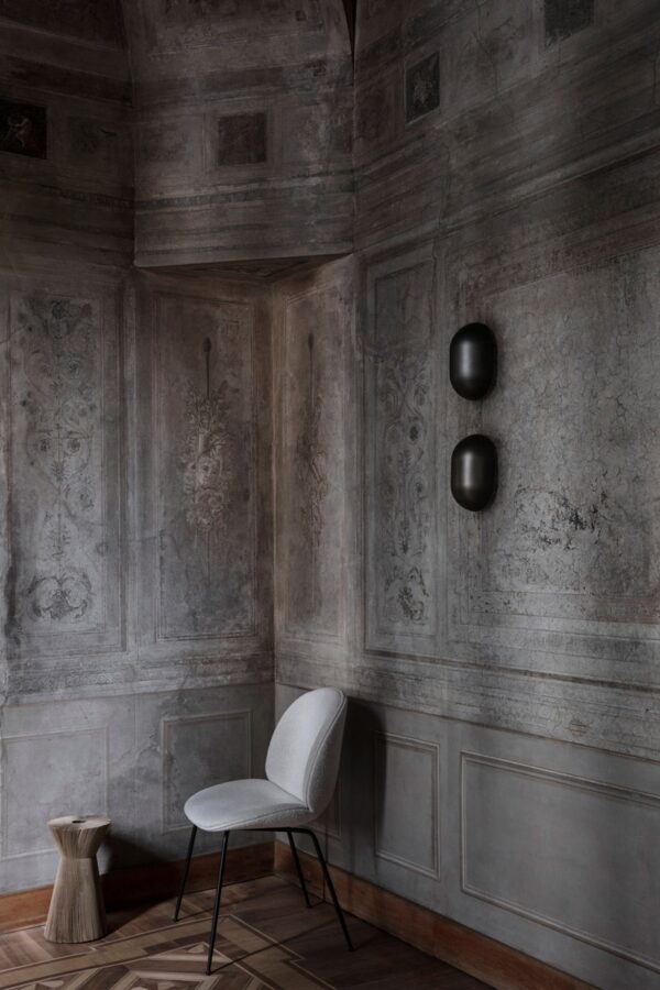 Silla Beetle-333850