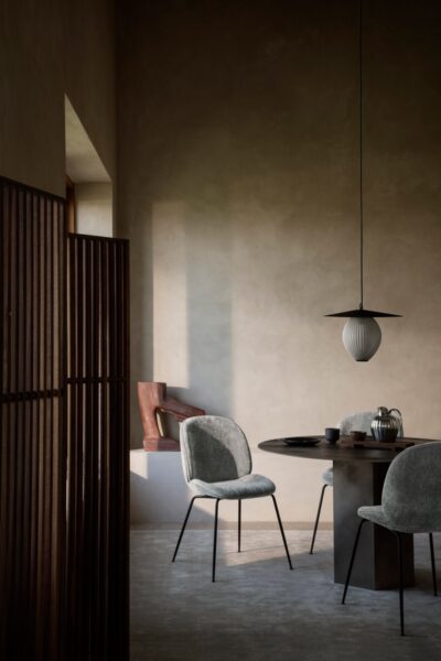 Silla Beetle-333863