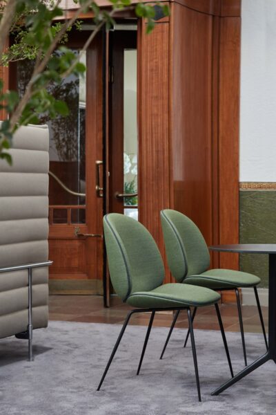 Silla Beetle-333955