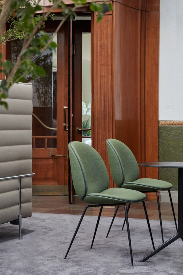 Silla Beetle-333955