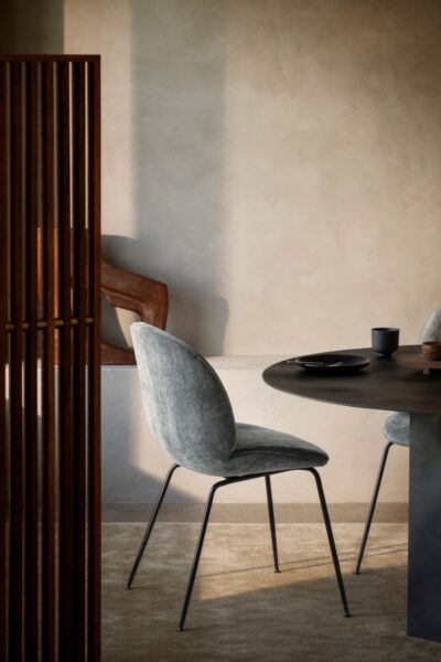 Silla Beetle-333862