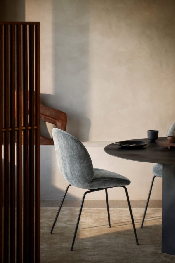 Silla Beetle-333862
