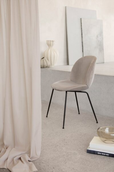 Silla Beetle-333861