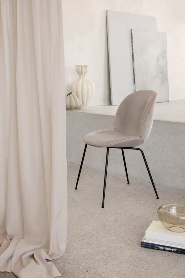 Silla Beetle-333861