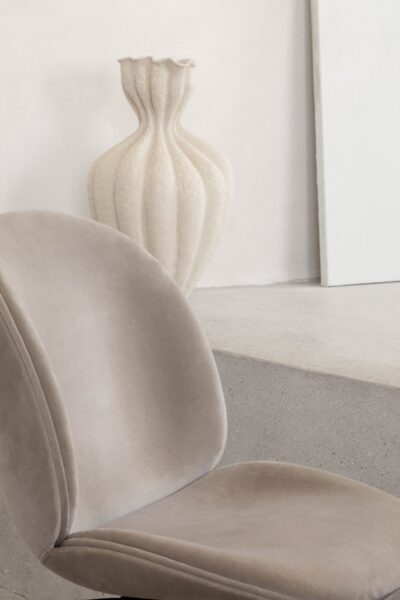 Silla Beetle-333860