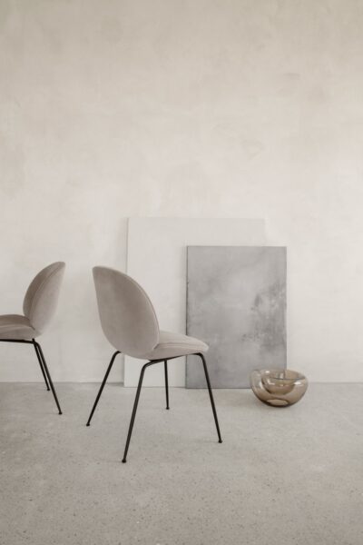 Silla Beetle-333858