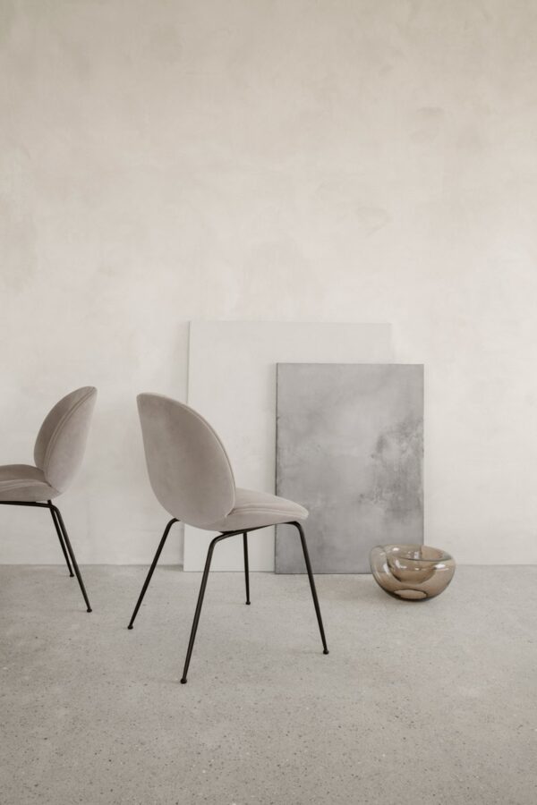 Silla Beetle-333858