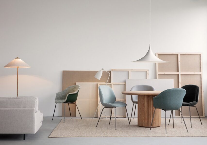 Silla Beetle-333847