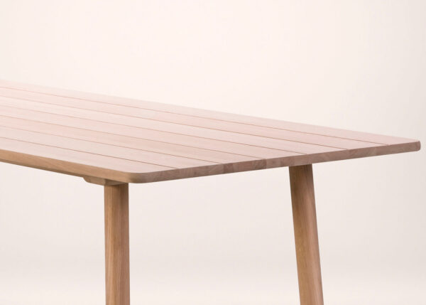 Mesa Taro-141510