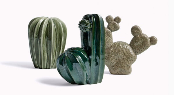 Cacti Dos ER-147372