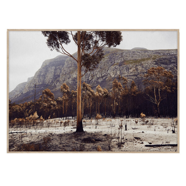 Burned - 50x70-0