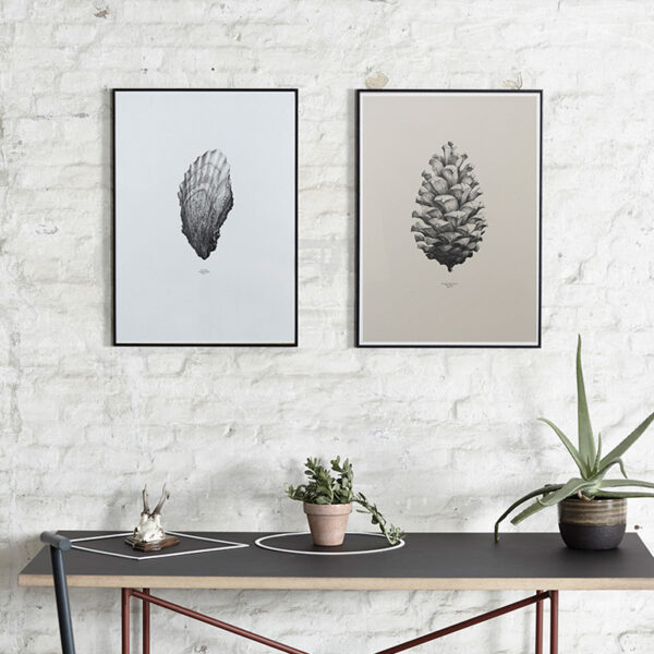 Pine Cone Sand - 50x70-159133