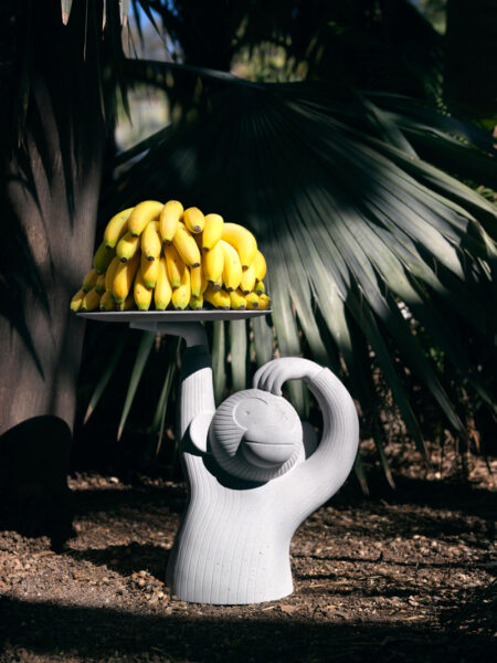 Mesa Monkey -173003