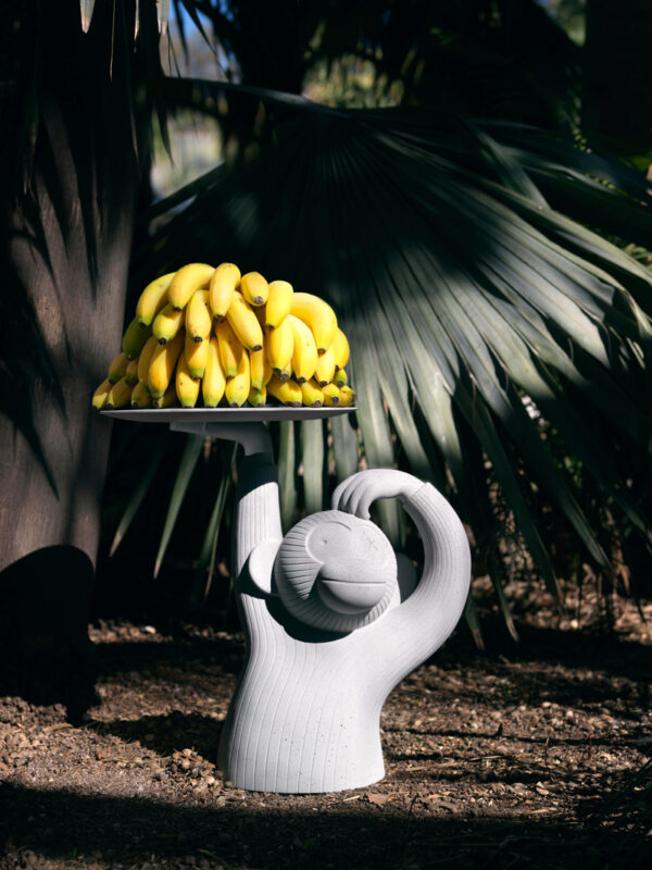 Mesa Monkey -173003