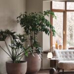 Macetas Planter-258290