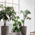 Macetas Planter-258291