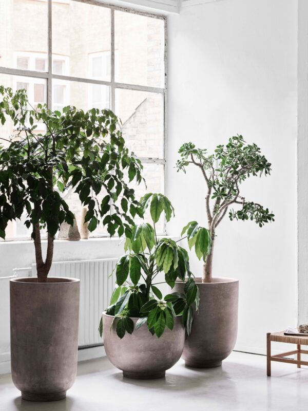 Macetas Planter-258291