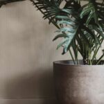Macetas Planter-258293
