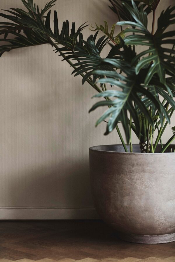 Macetas Planter-258293