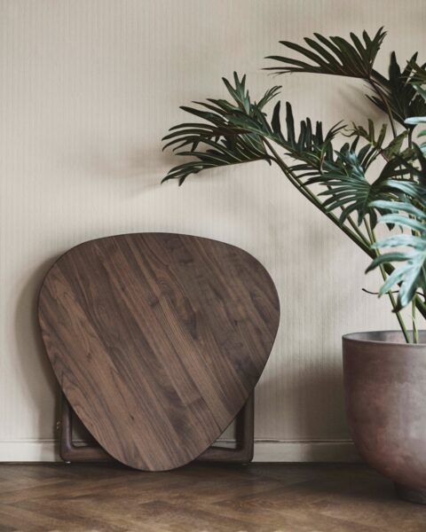 Mesa Plegable Drop Leaf HM5-258498