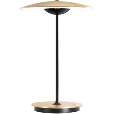 Ginger Portable Brass - Brass Table Lamp QD-262943