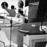 Eames House Whale-266332