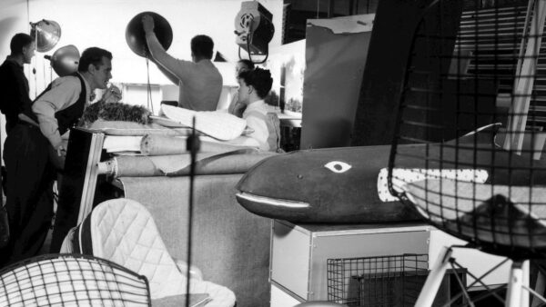 Eames House Whale-266332