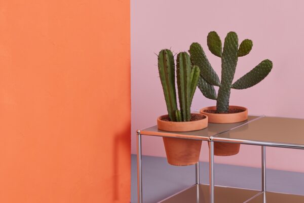 Mesa Haller Pot-288114