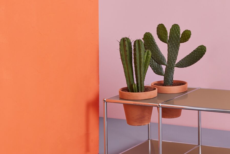 Mesa Haller Pot-288114