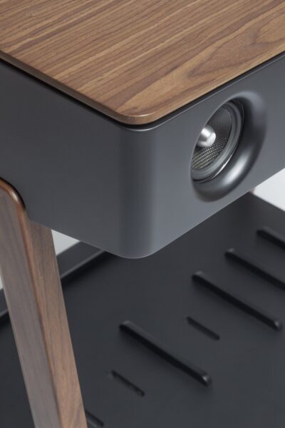 LX Turntable-294770