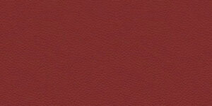 Piel G10 - 218 +180,29 €