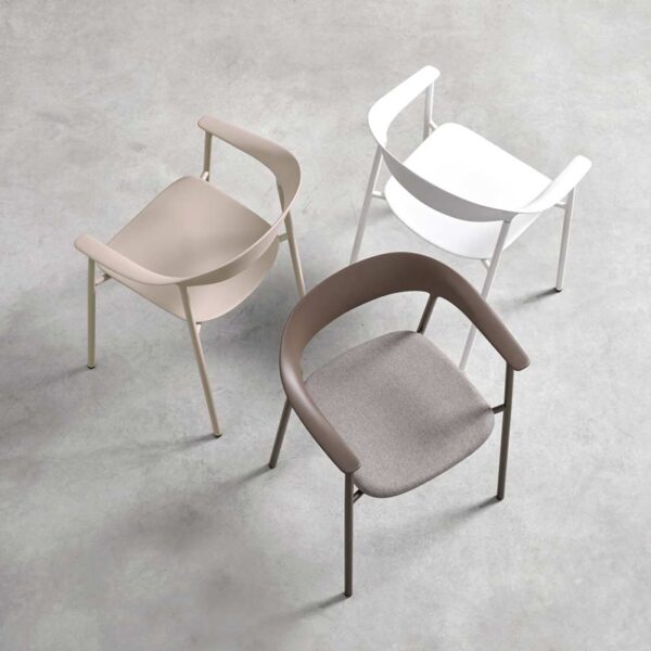 Silla Arum-297604
