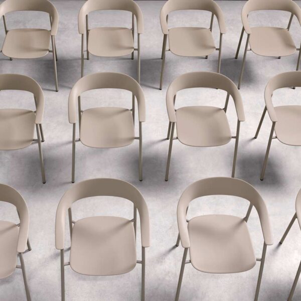 Silla Arum-297597