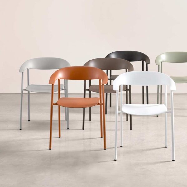 Silla Arum-297598